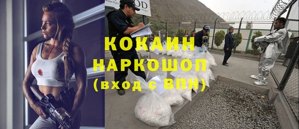 трава Сясьстрой