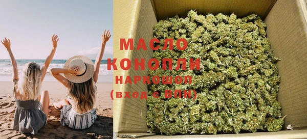 трава Сясьстрой