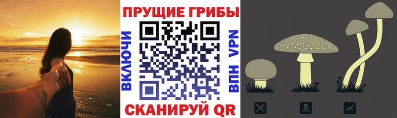 Купить где  Улан-Удэ  Псилоцибиновые грибы MAGIC MUSHROOMS 