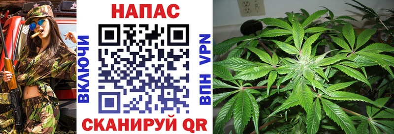 Канабис индика  Купить где  Улан-Удэ 